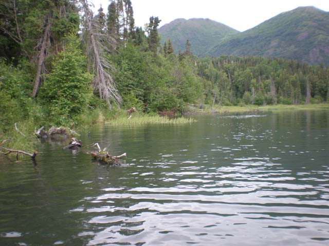 Fishing on Kenai River, Anchorage, Alaska